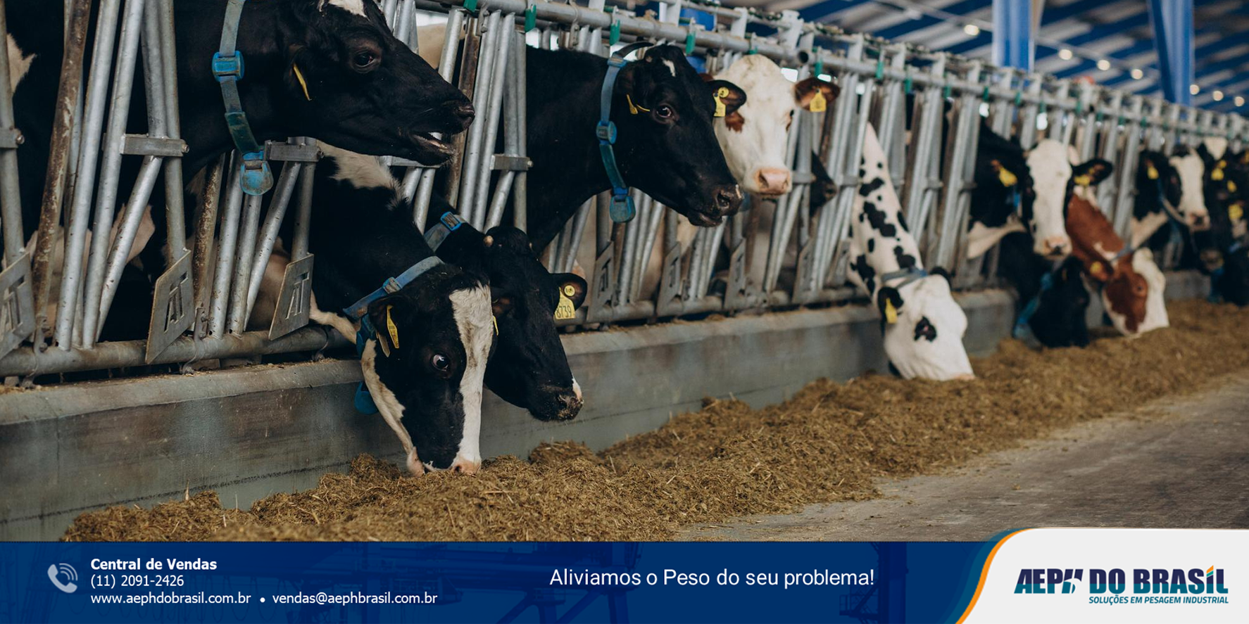 A pecuária mudou. A indústria precisou mudar junto. A pecuária mudou. A indústria precisou mudar junto.